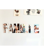 Family fridge magnet