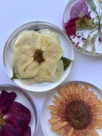Dessous-verre ronds préservations fleurs