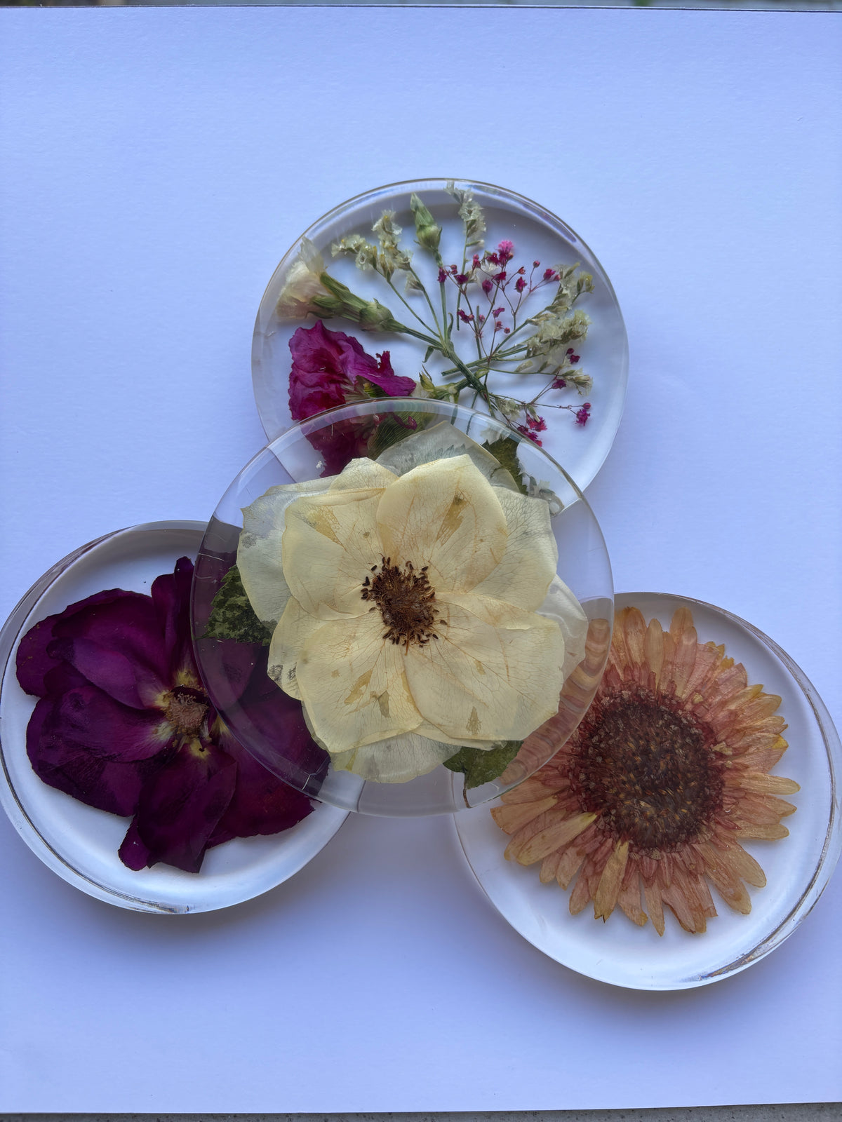 Dessous-verre ronds préservations fleurs